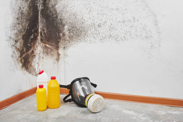 Best Residential Mold Removal  in Oak Ridge, NJ