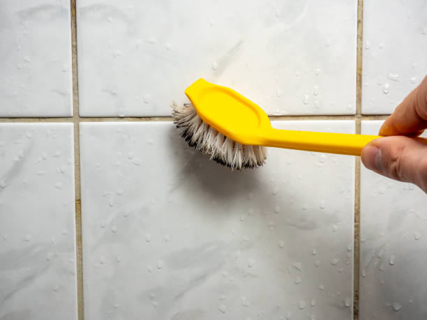 Best Mold Remediation Services  in Oak Ridge, NJ