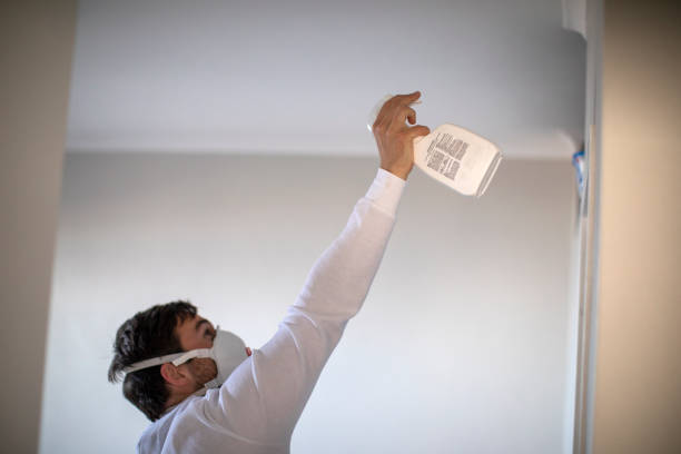 Best Mold Removal Company Near Me  in Oak Ridge, NJ