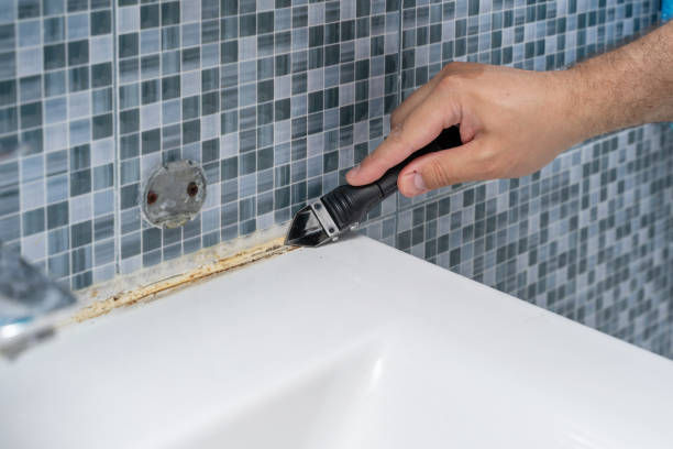 Best Mold Removal Near Me  in Oak Ridge, NJ