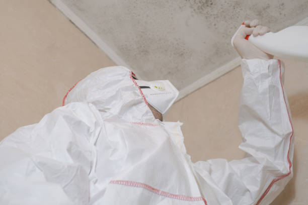 Best Mold Cleaning Services  in Oak Ridge, NJ