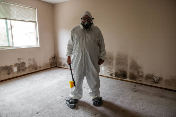 Best Certified Mold Removal  in Oak Ridge, NJ