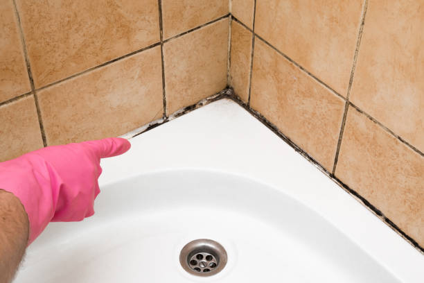Best Affordable Mold Removal  in Oak Ridge, NJ